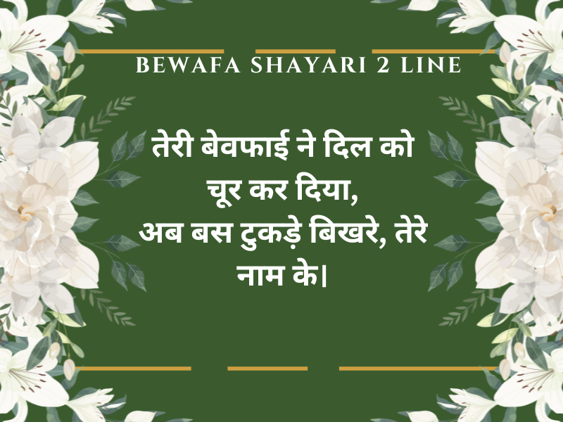 Bewafa Shayari 2 Line