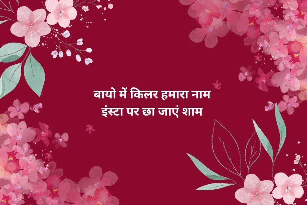 Killer Attitude Quotes In Hindi For Instagram Bio