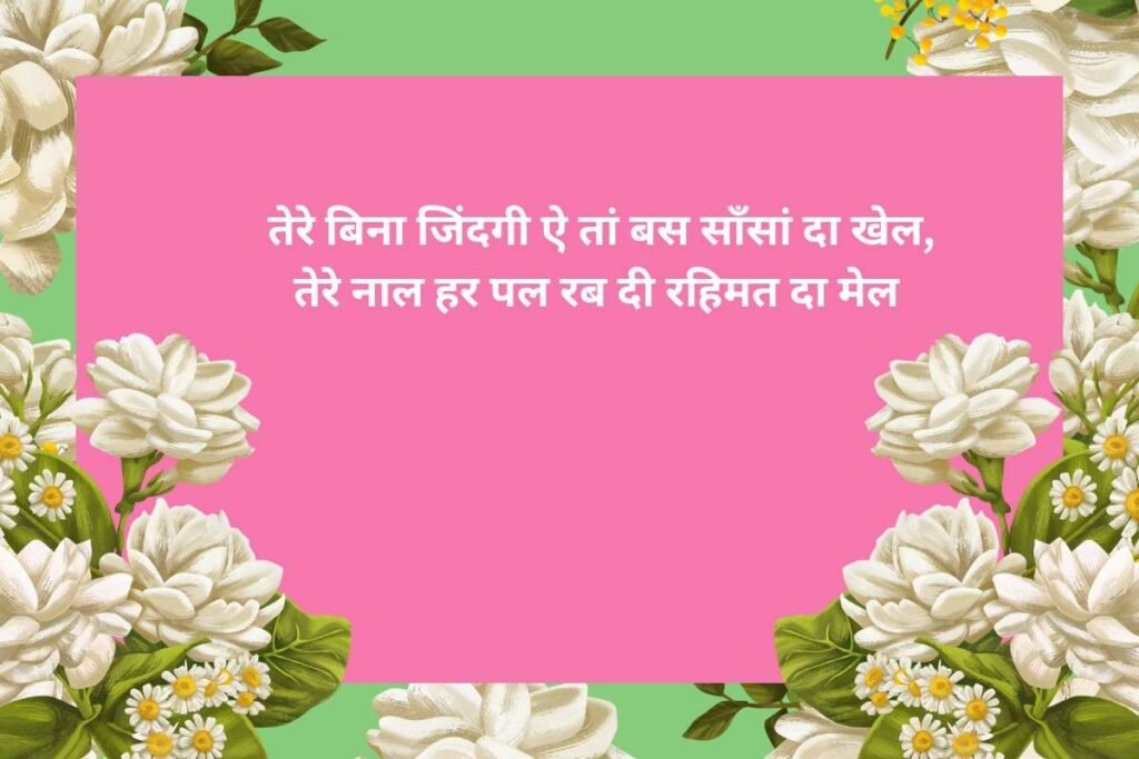 Love Punjabi Shayari In Hindi