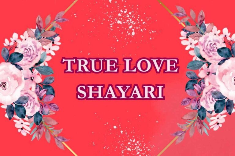 True Love Shayari in Hindi
